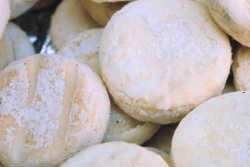 Picodon